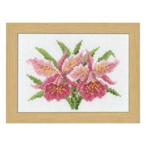 Olympus IpX NXXeb`Lbg 12̉ԃt[ (1JgA) No.7506 ؐt[t bm yousai \[CO sewing | ٖD zE`