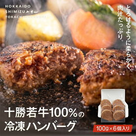ハンバーグ 十勝ブランド牛 JA十勝 若牛 ハンバーグ 6個セット【冷凍】 若牛 旨い肉 バーベキュー 特別な日 誕生日 記念日 パーティー ごちそう グルメ お酒 ハンバーガー ブランド牛 北海道 やわらかい キャンプ飯