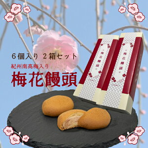 aَq ~܂񂶂イ IB썂~ ~\ 6 2Zbg ~܂񂶂イ \ ܂񂶂イ  v`Mtg o^Cv`Mtg v[g 蕨 ݂₰ yY XC