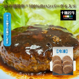 ハンバーグ 十勝ブランド牛 JA十勝 若牛 ハンバーグ 6個セット【冷凍】 若牛 旨い肉 バーベキュー 特別な日 誕生日 記念日 パーティー ごちそう グルメ お酒 ハンバーガー ブランド牛 北海道 やわらかい キャンプ飯