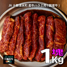 【送料無料】ハラミ肉 十勝ブランド牛 JA十勝 若牛 ハラミ ブロック肉 ステーキ 1kg 若牛 旨い肉 ディナー 特別な日 誕生日 記念日 パーティー ごちそう グルメ お酒 焼肉 ブランド牛 北海道 キャンプ 肉 GW 国内牛 夕食 冷凍 贈り物 焼肉 国産牛 晩御飯 BBQ バーベキュー