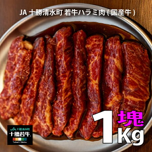 yzn~ \uh JA\ ው n~ ubN Xe[L 1kg ው | fBi[ ʂȓ a LO p[eB[  O  ē uh kC 