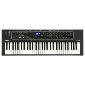 YAMAHA CK61 ステージキーボード ステージピアノ・オルガン オルガン・複合系 (シンセサイザー・電子楽器)