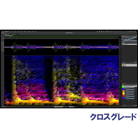 Steinberg 【 Pro Audio Sale 2024】SpectraLayers Pro 10 Comp CG (オンライン納品)(代引不可) DAWソフト 波形編集・マスタリング・楽譜作成 (DTM)