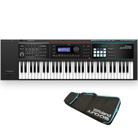 Roland JUNO-DS61(数量限定・専用キャリングケース・プレゼント中) シンセサイザー デジタルシンセ (シンセサイザー・電子楽器)