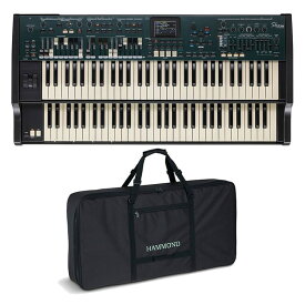 HAMMOND SKX PRO+専用ソフトケースセット ステージピアノ・オルガン オルガン・複合系 (シンセサイザー・電子楽器)
