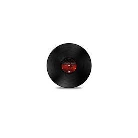 Native Instruments TRAKTOR SCRATCH Control Vinyl MK2 Black DJアクセサリー コントロールヴァイナル (DJ機器)