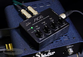 Suhr Amps 《サー・アンプ》 A.C.E. 【お取り寄せ品】