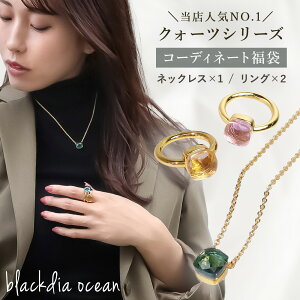 O lbNX w  Iׂ J[ TCY AM[ Ή NH[c fUC R[fBl[g Vv 3_ Zbg 2980~ v`v fB[X ANZT[ NX^KX 