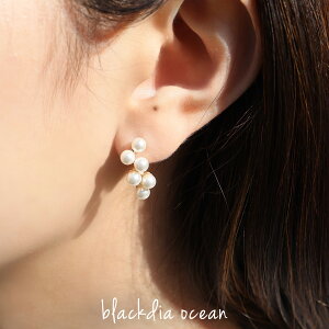 y12/4`zN[|zy12/5IIōőP300obNz sAX fB[X uh fUC p[ sAX  2Zbg Vv S[h   킢 l l 