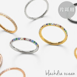 yő20%OFFN[|z sAX fB[X Ў 1 T[WJXeX 316L AM[ Ή t[vsAX J[ WRjA Xg[ S[h sNS[h ςȂ 