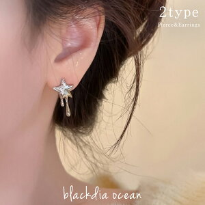 yő30OFFN[|z sAX CO C[Jt VC WRjA X^bhsAX silver999  ꐯ Zbg 2Zbg l 킢 Vo[   Vo[ Vo[s