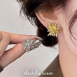 y11/20 20`zN[|z sAX CO C[Jt Xp[N WRjA |Xgsilver925 jbPt[ AM[Ή Zbg 2Zbg S[h Vo[ uE O