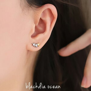 y12/4 20`zN[|zy12/5IIōőP300obNz sAX oCJ[ z] X^[  3  2Zbg l 킢 J[ 2F c[g S[h  Vo[  Xe