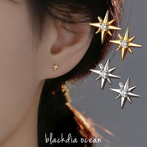 y12/4 20`zN[|zy12/5IIōőP300obNz sAX ^Cj[ VC sAX  X^bhsAX  2Zbg l 킢 J[ S[h   f silver925 