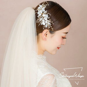 EFfBOeBA wbhhX  R[t EGfBO  uC_ ԉ wAANZT[ p[ 񎟉 \ t