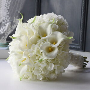 EGfBOu[P  EFfBOu[P ԉ u[P uC_u[P  񎟉 LXP[hu[P  GKg CO yz