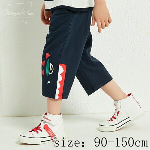 qpc pc j̎q  q xr[pc qp xr[ qY{ LbYY{ AE^[   ʋC G _炩 ʋCQ [΍ AEghA 