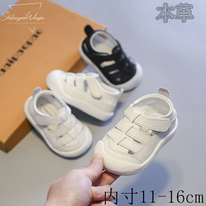 t@[XgV[Y xr[T_ {v xr[p j̎q xr[C  ̎q T}[T_ LbYT_ ܐی Ԃ  ߉\ n ł ɂ ɂ