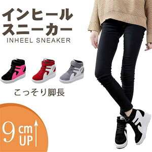 Xj[J[ fB[XV[Y vbgtH[V[Y Xj[J[ q[9cm Cq[ V[Y r nCq[ Ȃ ɂȂ l JWA