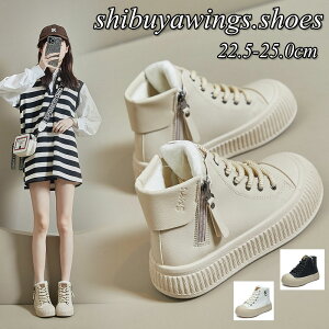 [gu[c fB[X Ȃ V[gu[c ~C Xm[u[c V[gC 傫TCY ʊw  g Xm[V[Y h h ʋ 킢 ӂӂ ₷ ɂ