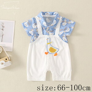 tH[} p[X V q j̎q ҏ΍ xr[p  ĕ xr[ R[[Ή Sf av[g ʋC   66cm/73cm/80cm/90cm/100cm 100 lC ㎿ oY