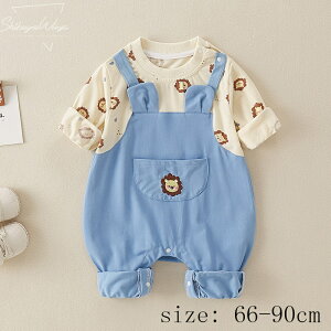 qp[X xr[  q Ԃ ̎q j̎q tH Sf xr[p[X G ʋCɗD p[X AE^[ \tg  Sj av[g V