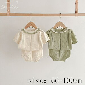 xr[ q ̎q jbg Sf 2_Zbg i tďH a j ZbgAbv qǂp ㉺Zbg Ԃ Pl K[Y V[gpc oYj Mtg _炩 