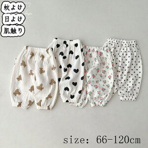 xr[ xr[pc 悯 悯 Sf tH q qpc xr[Y{ ̎q a qǂp \tg Ԃ K[Y oYj Mtg ʊwʉ _炩 G 