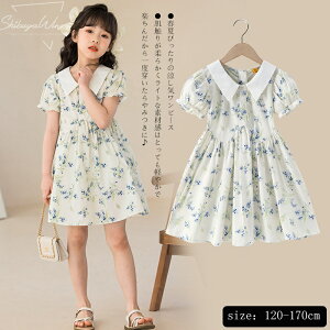 LbYs[X ԕ qǂ w tĂ̋Gߊ  qs[X q ̎q s[X LbY  ㎿ LbYp ʋC ʊwʉ \  o  