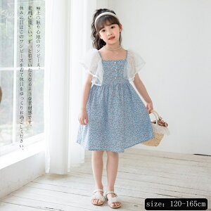 q ̎q s[X LbY  LbYs[X ԕ qǂ c w tĂ̋Gߊ  qs[X ㎿ LbYp ʋC   w G a i