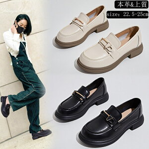 [t@[ fB[XC {v yʐ݌v vC ㎿f Sn ̓ JWA Oo s tďH GKg ʋC ʊw ʋ _炩 K Ȃ ₷ V[Y ₷ 