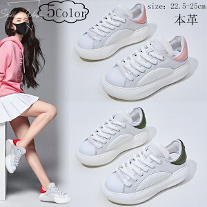 Xj[J[ X|[cV[Y fB[X {v Ռy 5cmq[ ㎿f Sn EH[LO JWA ʊw ʋ y NbV _炩 K Ȃ ₷ jOV