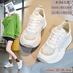 fB[XXj[J[ {v 傫TCY bV Xj[J[ X|[cV[Y Ռy 3.5cmq[ ㎿f Sn EH[LO JWA ʊw ʋ y _炩 K Ȃ 