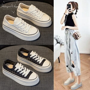 Xj[J[ fB[XC [X ʋC x[W ubN gAbv ^C Ռy 5cmq[ ㎿f Sn EH[LO JWA ʊw ʋ y _炩 K Ȃ 