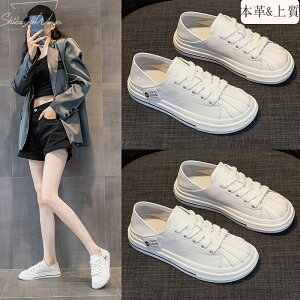 fB[XXj[J[ V[Y 2^Cv Xj[J[ fB[XC {v zCg ʋC ㎿f Sn  gUP X|[cV[Y 4cmq[ EH[LO JWA Ȃ 