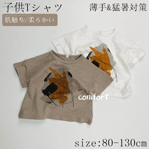 q  xr[TVc 2F qTVc ̎q j̎q Sf TVc LbY xr[  qp  ҏ΍ av[g ʋC ʊwʉ K ʋC z 1 6 80cm 