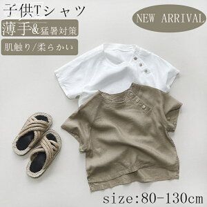 TVc LbY xr[  q  xr[TVc 2F qTVc j̎q Sf q  ҏ΍ a ʋC ʊw nT K ʋC z 1 6 [΍ AEgh