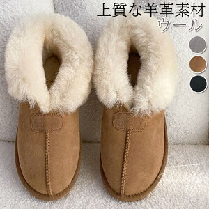 [gu[c rv E[ {v rt@[ fB[X Xm[u[c V[gu[c  H~C g C gUP ㎿f Sn Ȃ ʊw ʋ _炩 K Ȃ 