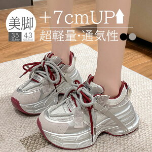 Xj[J[ fB[X y ꂢ _bhXj[J[ gAbv C Ȃ r ₷ ؍ V[Y ₷ JWAV[Y EH[LOV[Y C r