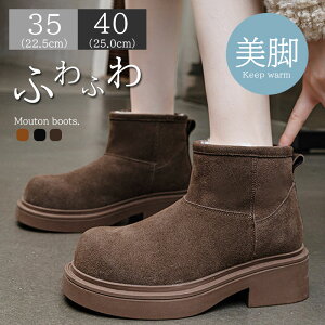 {v[gu[c fB[X Xm[u[c XG[h V[gu[c N hu[c {Au[c t@[u[c ₷ ےg Ȃ C  傫TCY ʊw ʋ g