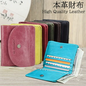 z ܂z {v U[ 6COLOR v Y fB[X J[hP[X K ꗬ̍zEl TCt K j  e Yz amp J[h ʒ|Pbg 