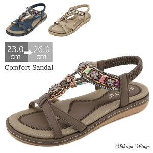 fB[XT_ T_ fB[X vbgtH[ r[Y {w~A AWA GXjbN fB[XC fB[XV[Y ʋ ʊw AEghA ɂȂ Ȃ ₷ 