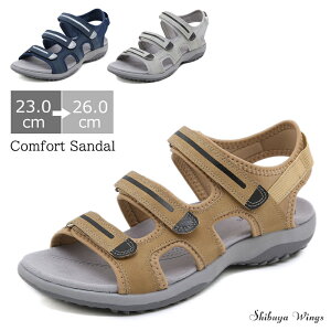 fB[XT_ T_ X|[cT_ Xj[J[ fB[X T_  tbgT_ RtH[gT_ bNX JWA fB[XV[Y ʋ ʊw 