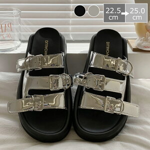 fB[XT_ T_ fB[X T_  fB[XC Xbp fB[XV[Y ʋ ʊw AEghA ɂȂ Ȃ ₷ ₷  IV