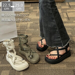 T_ fB[X fB[XT_ T}[u[c ҂ݏグT_ ܐ惊OT_ JWA C V[Y fB[XV[Y ʋ ʊw AEghA Ȃ ₷ 