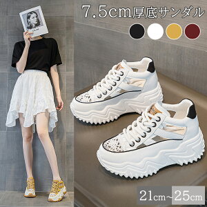 _yVX[p[SALE^T_  fB[X X|[cT_ X|T  킢  Vv K Ȃ r o JWA AEghA ₷ ɂȂ 