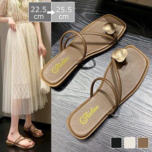 r[`T_ fB[X ewT_ ewXbp T_ Xbp tbg ~[ ėp ~  r ItBX ʋ O w Ǝ wZs   