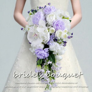 EGfBOu[P EFfBOu[P ԉ u[P uC_u[P Ehu[P  ԑ  Be v[g Mtg I  񎟉 ԑ Ehu[P Lbg 