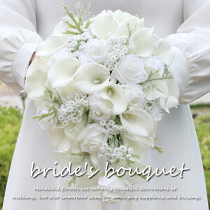 EFfBOu[P  EGfBOu[P ԉ u[P  EFfBOu[P  uC_u[P ŐlC  LXP[hu[P A[eBtBVt[  